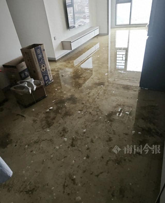 崩溃：全屋都是无法接受婚房被粪水浸泡！业主(图5)