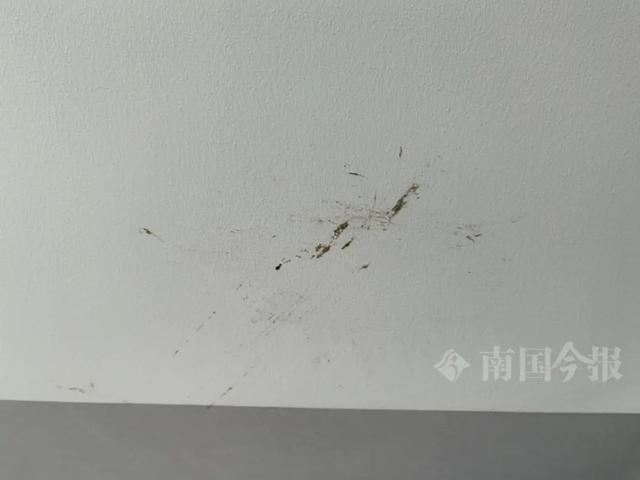 崩溃：全屋都是无法接受婚房被粪水浸泡！业主(图9)