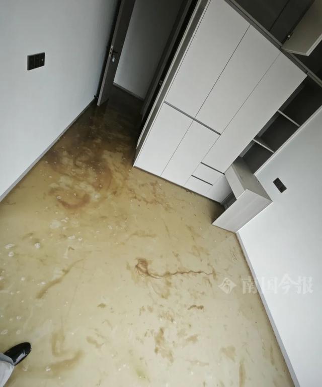 崩溃：全屋都是无法接受婚房被粪水浸泡！业主(图10)